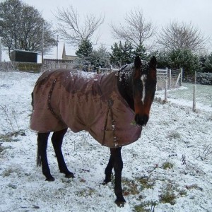 What's all this white stuff mum?