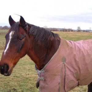 Do you think I suit pink?