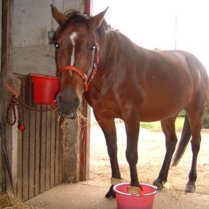 %$^£%$&! I look like a fool with my foot in a bucket. A PINK bucket at that!