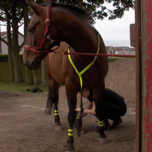 This is my best side. Don't mind my servant, she's just doing my leg bands up.