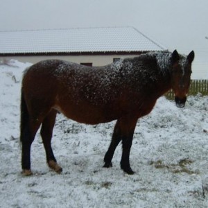 If I stand still a little longer I'll become white. I always wanted to be a grey.