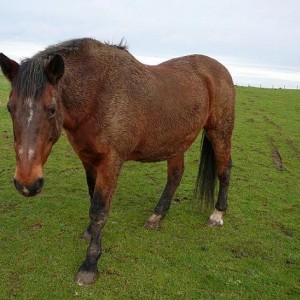 I spent AGES carefully applying all this mud. Don't you dare try and brush it off!