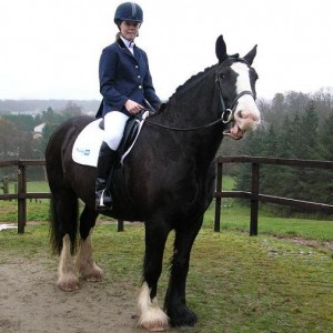 God dressage is just soooooo boring!