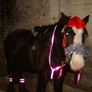 I cannot beleive I'm being made to wear this!