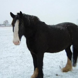 Snowing!