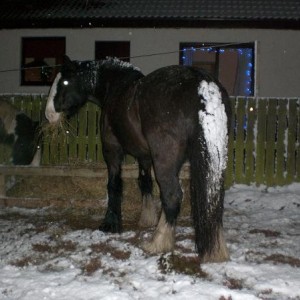 Look mum, it snowed on my bum.