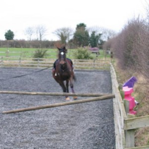 jumping20.01.08 009