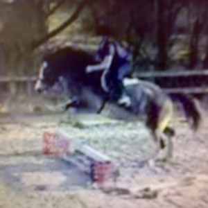 Fearn jumping