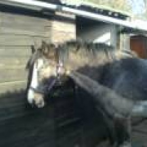 Fearn sleepy 09.02.08