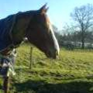 Sovereign head shot 10.02.08