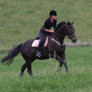 Jet doing what he thinks is galloping lol!!