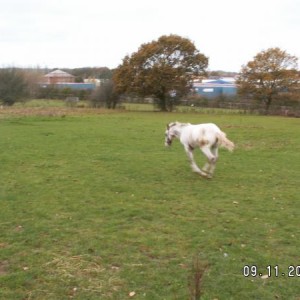 Zoom!!
