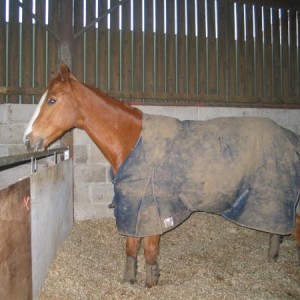 Caught taking a pee - he wasn't impressed!
2004