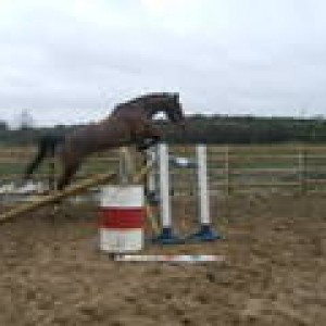 bonnie jumping 1