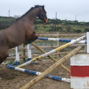 Bonnie jumping 2