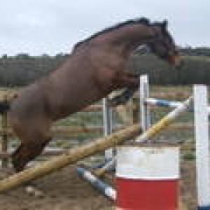 bonnie jumping 3