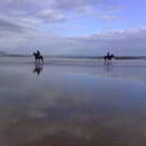 beach 2