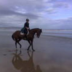 beach 4