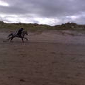 beach 6