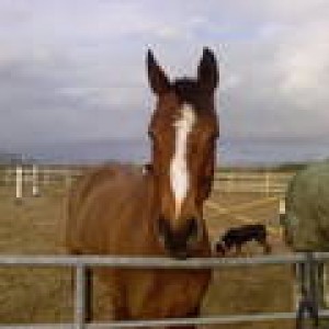 bonnie turnout 2