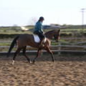 trot
