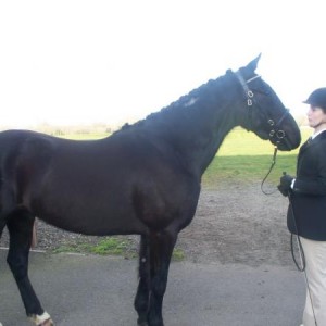 ILPH Butler with his Groom Amy
