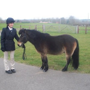 ILPH Marmite with His Groom Claire, He has now been rehomed