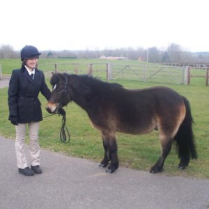 ILPH Marmite with his groom Claire, he has now been rehomed