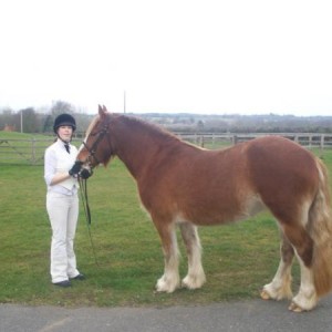 ILPH Stella with her groom Sian