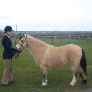 ILPH Barley with Lizzie