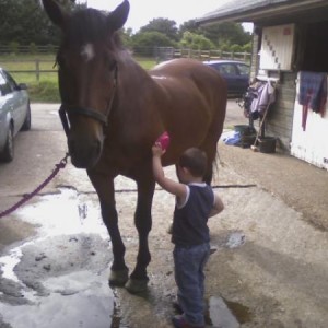 perfect pascal getting a groom!