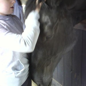 Me and bess (Freisan x shire)