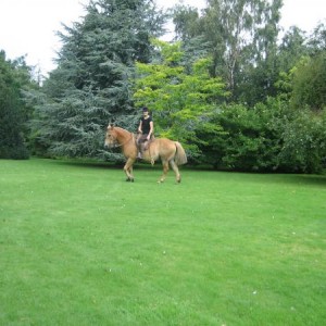 IMG 1589
25 August 2007