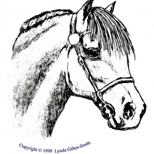 pony
