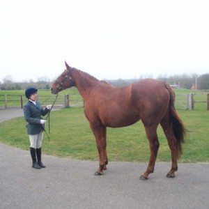ILPh Inca with her Groom Adele