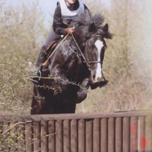 flynn