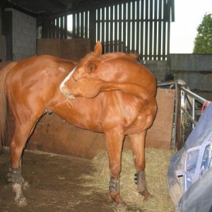 Looking sparkly! 
End 2004 I think