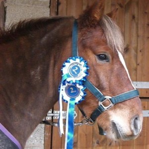 First Rossettes
