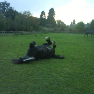 Havin a roll!