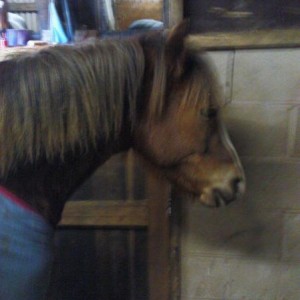 aww ive done it again mum!