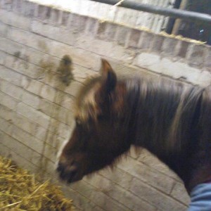 I DONT WANT MY PICTURE TAKEN!