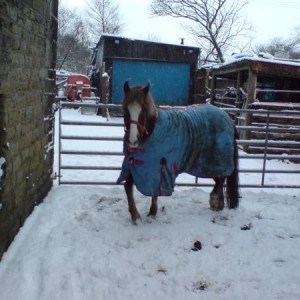 winter...