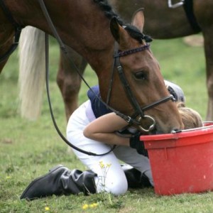 applebobbing