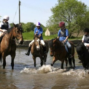 Fun in the river