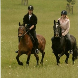 Media 'Sponsored Ride' in album 'Blackie'