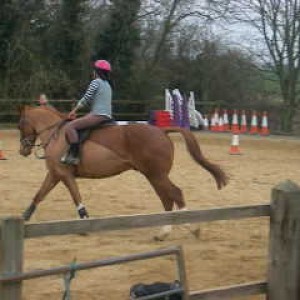 One of the first rides on Gummy.
