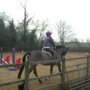 Trying to get a nice trot..