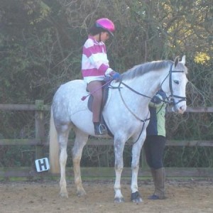 Adjusting stirrup leathers lol.