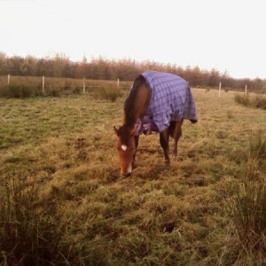 her first day in the field