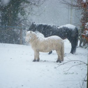 Snow!!